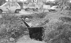 Death trap along road: The Mohali MC has failed to put any warning sign at an open sewerage manhole near the Phase 8 police station in Mohali. 