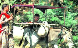 An infant sits pretty on a cot as a group of nomads is on the move in Gurgaon