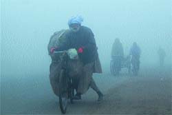 Amidst dense fog and cold wave, an aged vegetable seller returns home early morning in Amritsar.