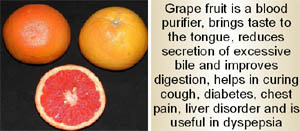 Star Ruby variety of grape fruit that was recently developed by the PAU. 
