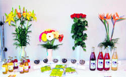 Byproducts of Kangra tea like tea wine on display at the Institute of Himalayan Bi-resource Technology at Papalmpur