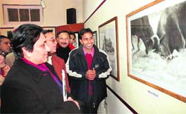 Principal secretary, tourism, language and culture, Manisha Nanda, appreciating a painting at the All-India Art Exhibition, 2009, at the state museum in Shimla 