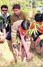 Members of Prerna plant saplings on New Years day at the Gandhi Park in Dehradun.