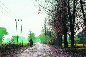 A road in a border village in Heera Nagar sector wears a deserted look due to intense cold.