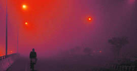 A thick blanket of fog in Ludhiana on Saturday.