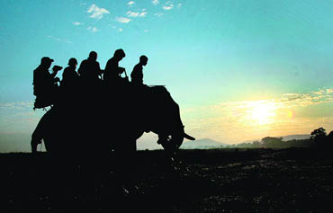 An elephant safari against the glowing sky at the Kaziranga National Park