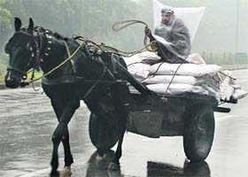 A cart rider finds protection from the rain and chill in a polythene bag