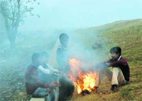 Children huddle around a bonfire to keep themselves warm in Chandigarh