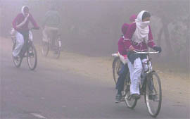 Schoolchildren brave fog to reach their schools in Ludhiana on Sunday.
