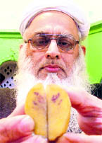 Shahi Imam shows the potato on which the name of Allah and Hazrat Mohd was spotted in Ludhiana  on Sunday.