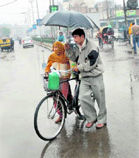 A couple protect themselves from rain in Bathinda on Sunday.