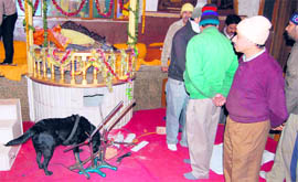 A police dog sniffs the theft site at the Kalika Temple in Dehradun on Monday.