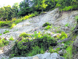 Work on the Dalhousie-Kohladi-Chamba road poses a threat to the Kalatop-Khajjiar wildlife habitat.