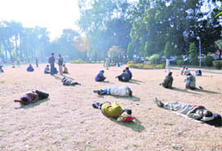 After three days of fog, Doonites enjoy sunshine at the Gandhi Park on Wednesday.