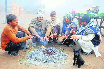 With the mercury going below normal in Hisar, this puppy and residents huddle together to get some warmth from a bonfire.