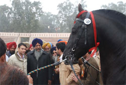 Animal Husbandary Minister Gulzar Singh Ranike taking round after inaugurating the North India Livestock Championship at Guru Gobind Singh Stadium in Muktsar on Friday.