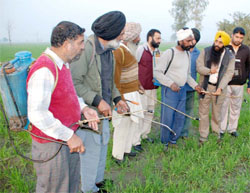 Spraying techniques being demonstrated in Moga. 