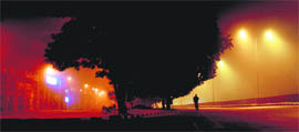 Lights shining through dense fog lends Chandigarh an ethereal look on Friday.