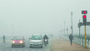 Commuters make their way through the thick fog at the Rajpath in New Delhi on Friday.
