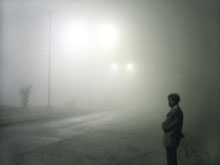 Zero visibility due to the dense fog that engulfed Ludhiana on Friday morning. 