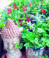 Attractive features like statues make terrace gardens attractive