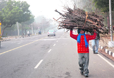 With the region being in the grip of a severe cold wave, fighting fog and chill during night hours has become a challenge, especially for the not-so-privileged ones. A man carries firewood in apparent preparation for facing the chilly night ahead. 