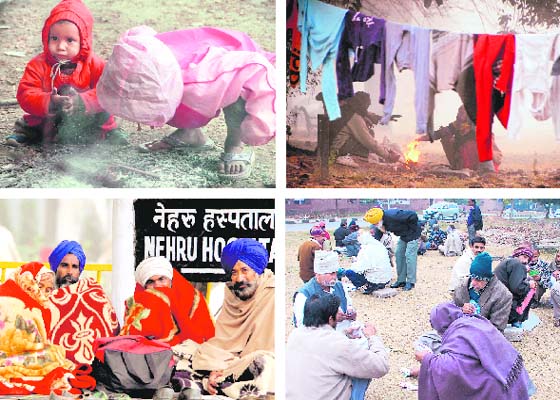Bone-chilling cold: (Clockwise) Attendants and relatives of patients wait on the PGI campus, kids fan a bonfire in Sector 17, gardeners fight cold by lighting a bonfire in a garden near Delhi Public School, Sector 40 and men busy playing cards in the open in Sector 45, Chandigarh