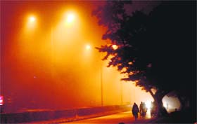 A view of dense fog on a road in Chandigarh on Sunday night