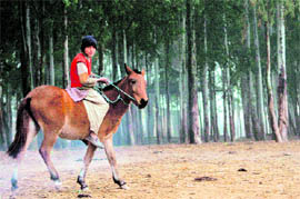A Gujjar boy enjoys a horse ride on the outskirts of Jammu on Sunday.