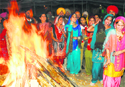 The Municipal Corporation authorities celebrate Lohri at Leisure Valley, Sector 10, Chandigarh, on Tuesday.