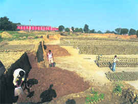 One of the brick-kilns in Una using topsoil for making bricks.