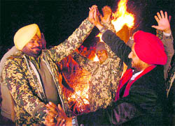 BSF officers and jawans celebrate Lohri on the international border in Suchetgarh on Tuesday