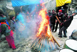People dance to the beat of dhol to celebrate Lohri on Wednesday in Shimla