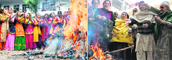 Students of the Master Tara Singh College; and (right) inmates of an old-age home celebrate Lohri in Ludhiana on Wednesday.
