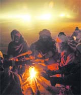 A group of hermits warm themselves against the biting cold, which has gripped the entire region, in Gurgaon