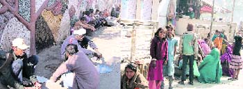 Beggars have been a source of nuisance for shopkeepers as well as devotees visiting Durga Mata Mandir in Ludhiana.