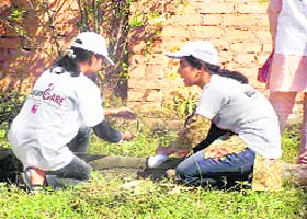 Volunteers plant saplings at Ranipokhri, near Dehradun
