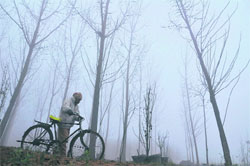 Braving chill, a man walks towards his destination in thick fog that engulfed Ludhiana on Sunday morning.