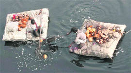 Ragpickers collect coconuts left by those performing rituals in the Yamuna in New Delhi on Sunday. 