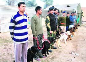 Sniffer dogs squad at the Maha Kumbh mela in Haridwar
