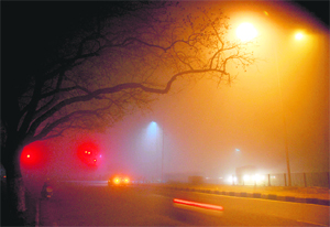 A kaleidoscope of colours in this thick fog adds romance to a cold January night.