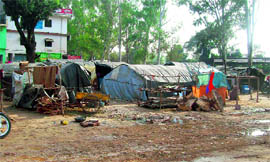 Encroachments in demarcated protected forest at Nadaun