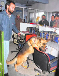 A dog squad inspects the scene where miscreants broke into a bank in a village in Satwari on Wednesday.