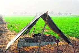 A makeshift night shelter in a field near Hisar