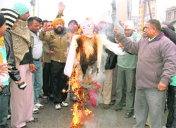 Activists of the Hindu Sikh Jagriti Sena burn an effigy of Agriculture Minister Sharad Pawar to protest against rising prices in Ludhiana on Thursday.