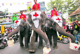 Thai elephants collect money for victims of the recent Haiti earthquake in Bangkok on Thursday