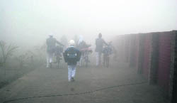 Schoolchildren go to school in dense fog. 