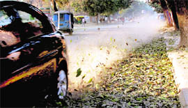 A car zips past dead leaves strewn along a road berm in Mohali.