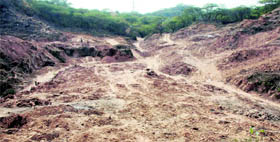 A part of the reserve forest at Khol Hai Rattan.