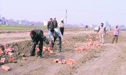 Labourers remove bricks that were used to demarcate the colony in Giaspura